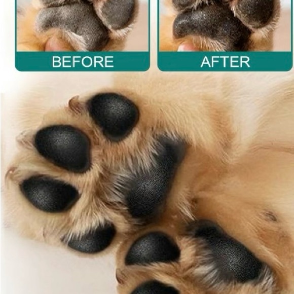 Protect 🐶 your dog’s 🐾 paws in the SUMMER HEAT 🥵 🛍️ paw 🐾 balm - Picture 8 of 11